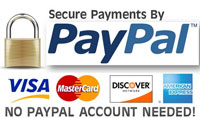 Secure Payment Processing by Paypal