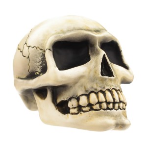 Small Skull - Bone