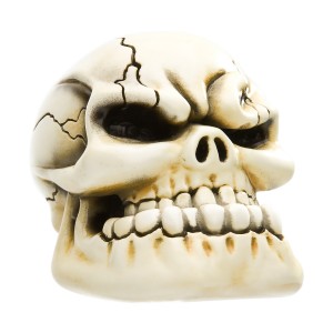 Punchy Skull - Bone